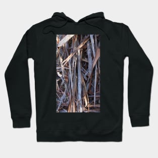 Woof - Tree Bark at Magpie Springs by Avril Thomas Hoodie